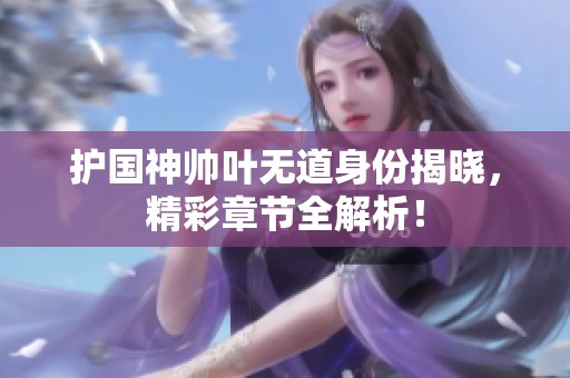 护国神帅叶无道身份揭晓，精彩章节全解析！