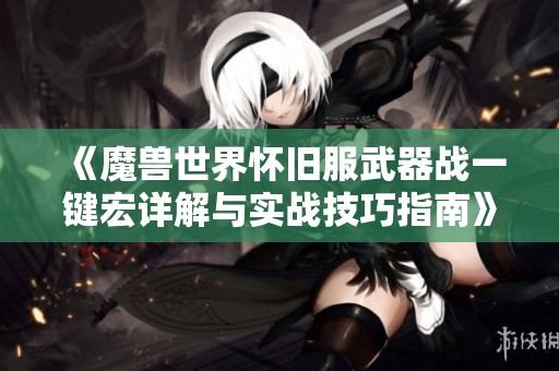 《魔兽世界怀旧服武器战一键宏详解与实战技巧指南》