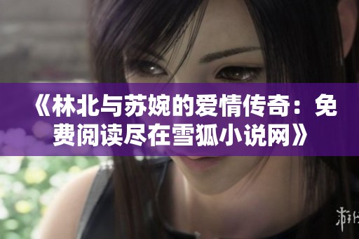 《林北与苏婉的爱情传奇：免费阅读尽在雪狐小说网》