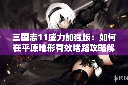 三国志11威力加强版：如何在平原地形有效堵路攻略解析
