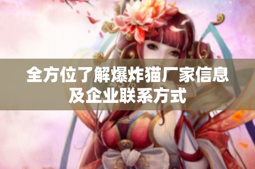 全方位了解爆炸猫厂家信息及企业联系方式