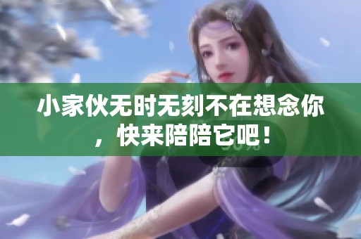 小家伙无时无刻不在想念你，快来陪陪它吧！