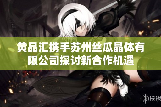 黄品汇携手苏州丝瓜晶体有限公司探讨新合作机遇