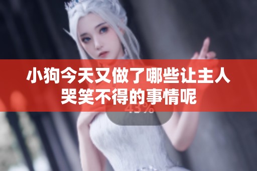 小狗今天又做了哪些让主人哭笑不得的事情呢