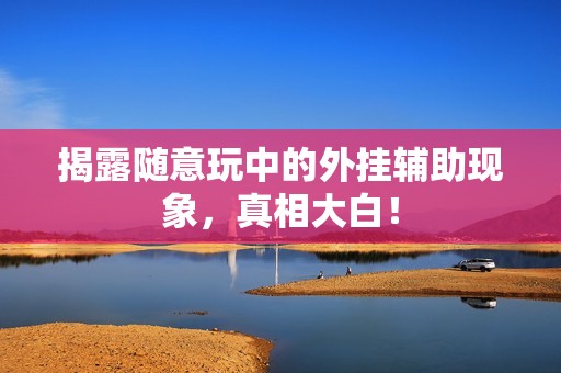 揭露随意玩中的外挂辅助现象，真相大白！