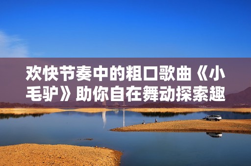 欢快节奏中的粗口歌曲《小毛驴》助你自在舞动探索趣味生活