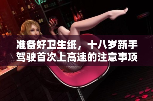 准备好卫生纸，十八岁新手驾驶首次上高速的注意事项