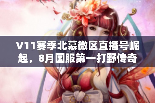 V11赛季北慕微区直播号崛起，8月国服第一打野传奇
