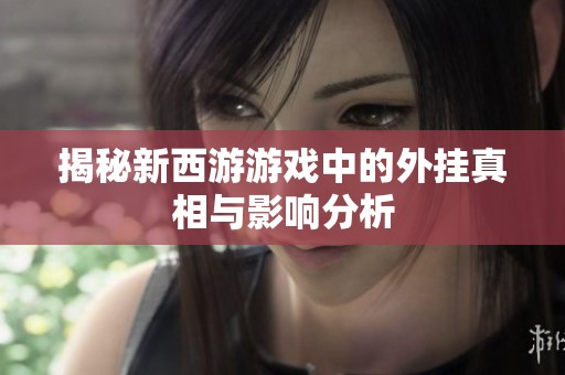 揭秘新西游游戏中的外挂真相与影响分析