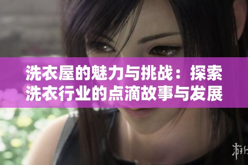 洗衣屋的魅力与挑战：探索洗衣行业的点滴故事与发展动向