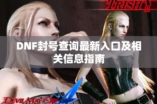 DNF封号查询最新入口及相关信息指南
