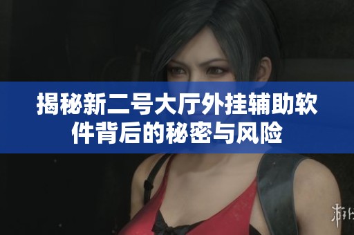 揭秘新二号大厅外挂辅助软件背后的秘密与风险