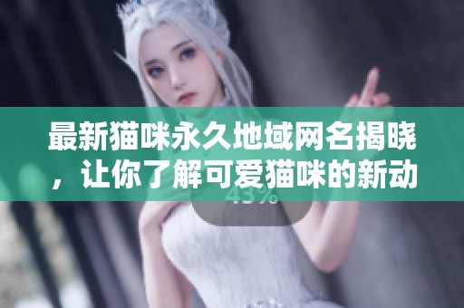 最新猫咪永久地域网名揭晓，让你了解可爱猫咪的新动态