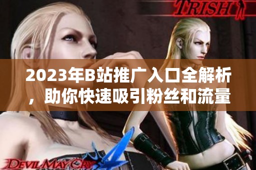 2023年B站推广入口全解析，助你快速吸引粉丝和流量
