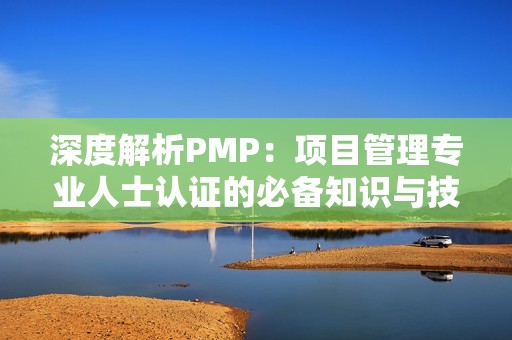 深度解析PMP：项目管理专业人士认证的必备知识与技能