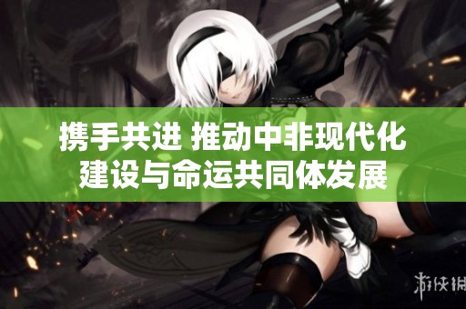 携手共进 推动中非现代化建设与命运共同体发展