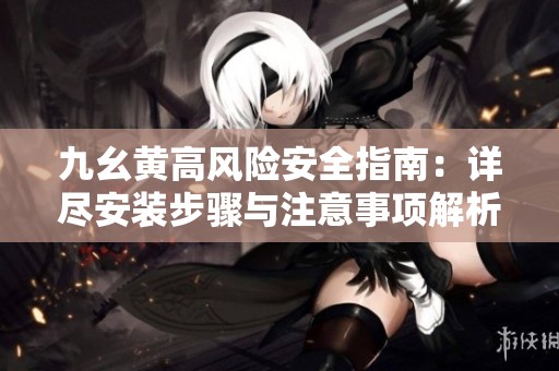 九幺黄高风险安全指南：详尽安装步骤与注意事项解析