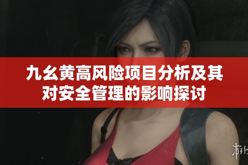九幺黄高风险项目分析及其对安全管理的影响探讨
