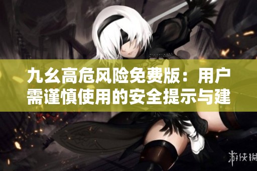九幺高危风险免费版：用户需谨慎使用的安全提示与建议