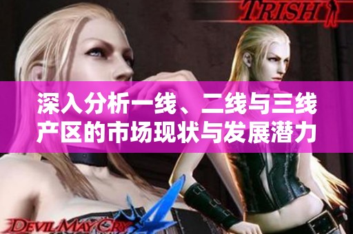 深入分析一线、二线与三线产区的市场现状与发展潜力
