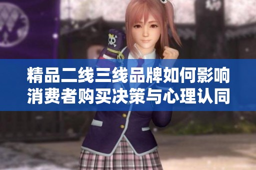 精品二线三线品牌如何影响消费者购买决策与心理认同