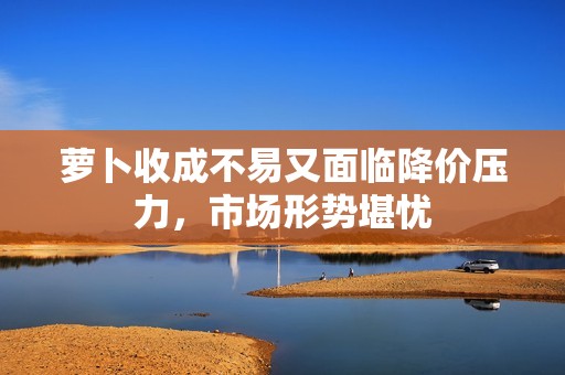 萝卜收成不易又面临降价压力，市场形势堪忧
