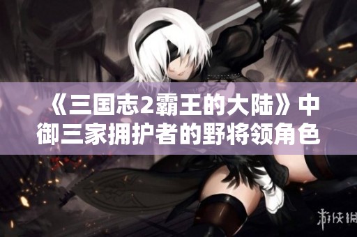 《三国志2霸王的大陆》中御三家拥护者的野将领角色分析与探讨