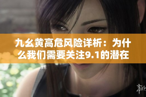 九幺黄高危风险详析：为什么我们需要关注9.1的潜在威胁