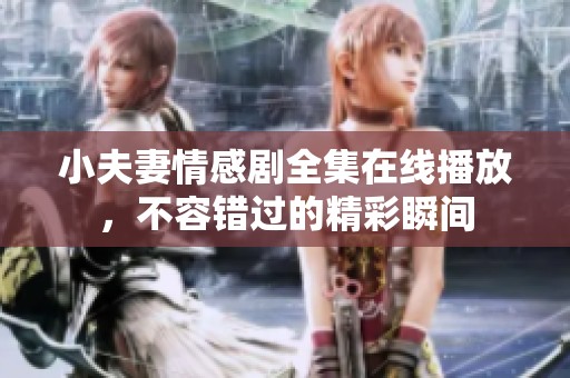 小夫妻情感剧全集在线播放，不容错过的精彩瞬间