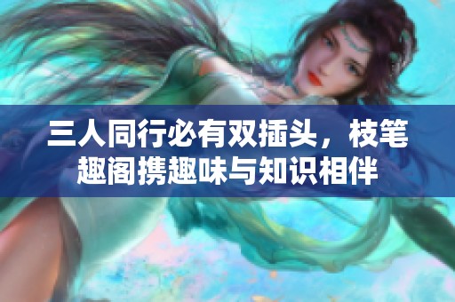 三人同行必有双插头，枝笔趣阁携趣味与知识相伴