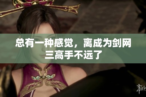 总有一种感觉，离成为剑网三高手不远了