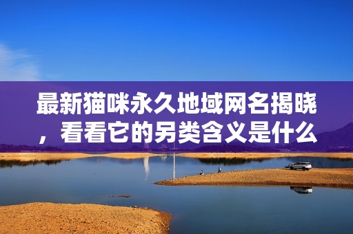 最新猫咪永久地域网名揭晓，看看它的另类含义是什么