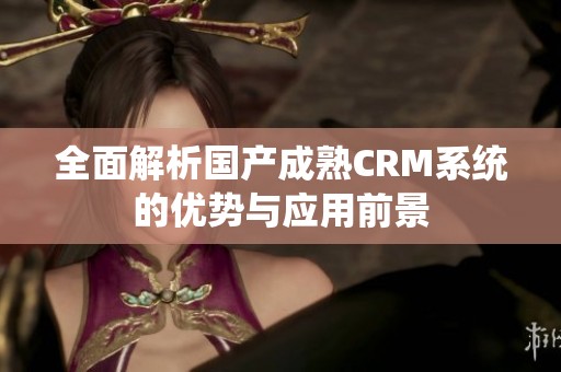 全面解析国产成熟CRM系统的优势与应用前景