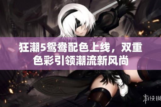 狂潮5鸳鸯配色上线，双重色彩引领潮流新风尚