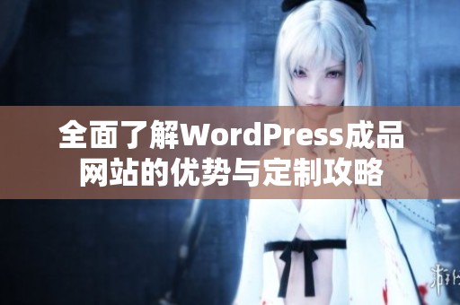 全面了解WordPress成品网站的优势与定制攻略