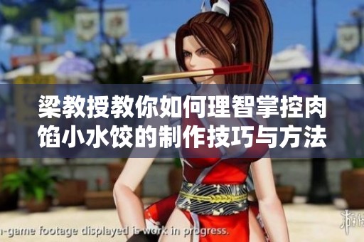 梁教授教你如何理智掌控肉馅小水饺的制作技巧与方法