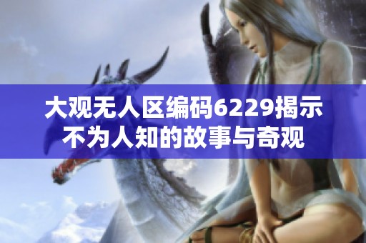 大观无人区编码6229揭示不为人知的故事与奇观