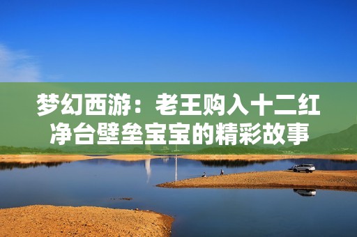 梦幻西游：老王购入十二红净台壁垒宝宝的精彩故事