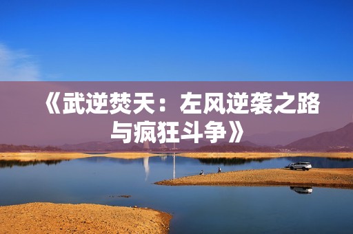 《武逆焚天：左风逆袭之路与疯狂斗争》