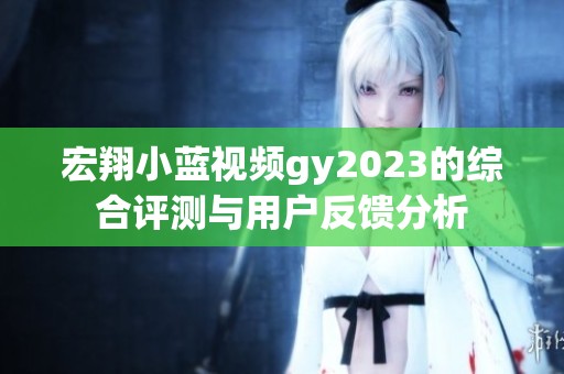 宏翔小蓝视频gy2023的综合评测与用户反馈分析