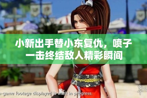 小新出手替小东复仇，喷子一击终结敌人精彩瞬间