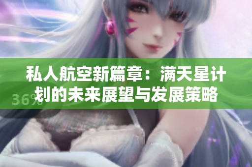 私人航空新篇章：满天星计划的未来展望与发展策略