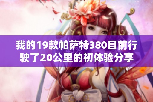 我的19款帕萨特380目前行驶了20公里的初体验分享