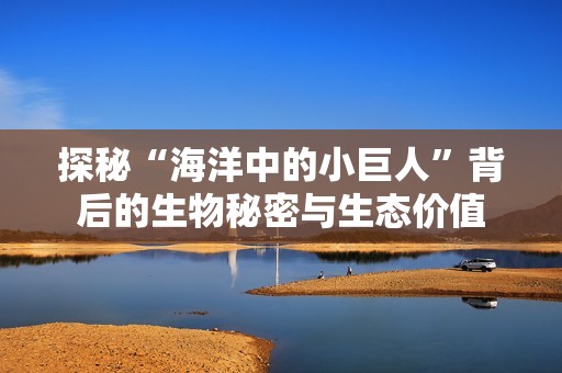 探秘“海洋中的小巨人”背后的生物秘密与生态价值