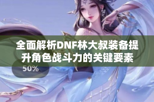 全面解析DNF林大叔装备提升角色战斗力的关键要素