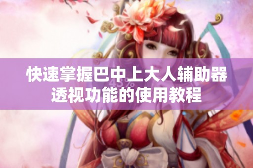 快速掌握巴中上大人辅助器透视功能的使用教程