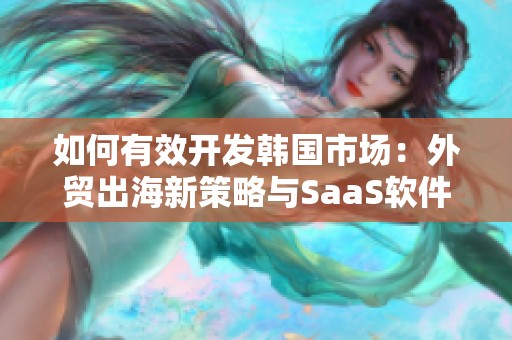 如何有效开发韩国市场：外贸出海新策略与SaaS软件应用