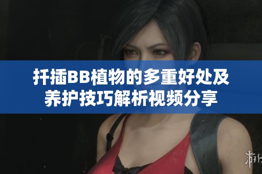 扦插BB植物的多重好处及养护技巧解析视频分享