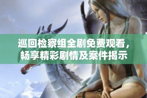 巡回检察组全剧免费观看，畅享精彩剧情及案件揭示