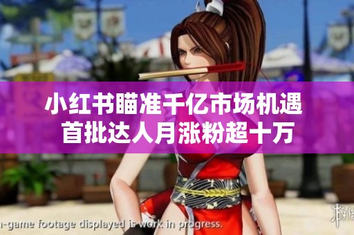 小红书瞄准千亿市场机遇 首批达人月涨粉超十万